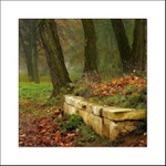 Návraty do veltruského parku XXIV - zídka u sfingy