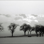 Neberte zmrzlé stopaře