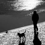 ráno na nábřeží