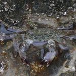 Vylezl se na mě podívat ...