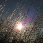 Léto,léto,léto už aby tu bylo