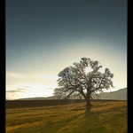 waiting for something