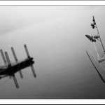 ze života převozníka XII