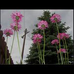 Vysílání pro nejmenší