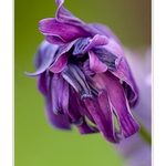 Tak se nám to nějak zamotalo....