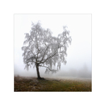 Na Hradišťanské louce