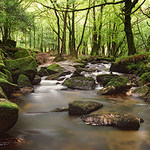 Golitha Falls2