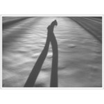 ....obstíněn přírodou...