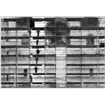 ... lešenářská ...