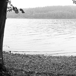 K vodě /3