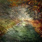 ...konec  neznámý...