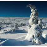 Krakonoš nezapomněl