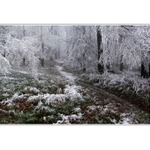 Túlavým chodníkom  V.