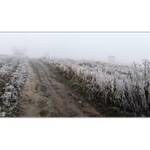 Túlavým chodníkom  VI.