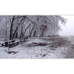 Túlavým chodníkom  VII.