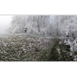 Túlavým chodníkom  VIII.