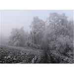 Túlavým chodníkom  XI.