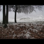 Túlavým chodníkom  XIII.