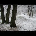 Túlavým chodníkom  XV.