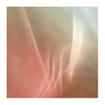 Poslední doušek hudby