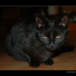 Ještě chvíli a uvidíš ten kolotoč...