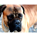 = Neříkej mi wobludo ... =