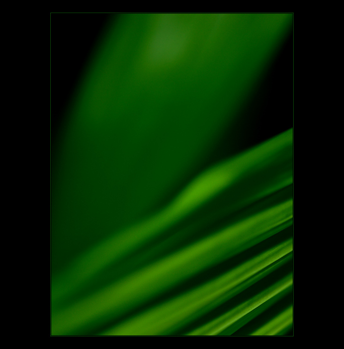 - green passion IV. -