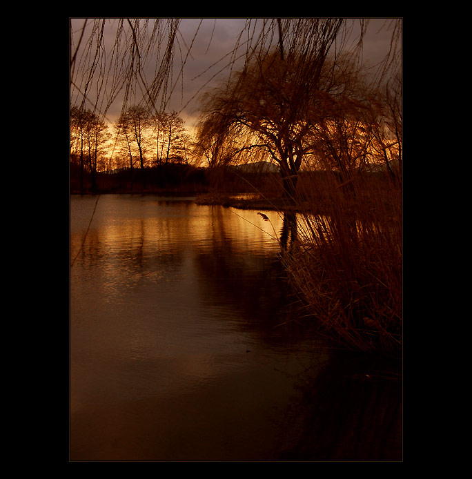  - sunday evening II. -