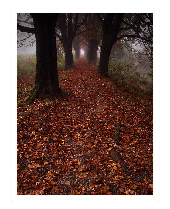 A rána sú tu tiché...