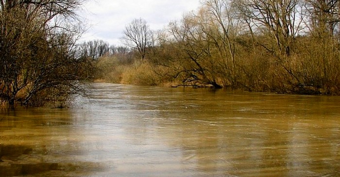 Řeka Morava