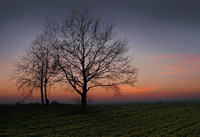 Západ slunce nad polem