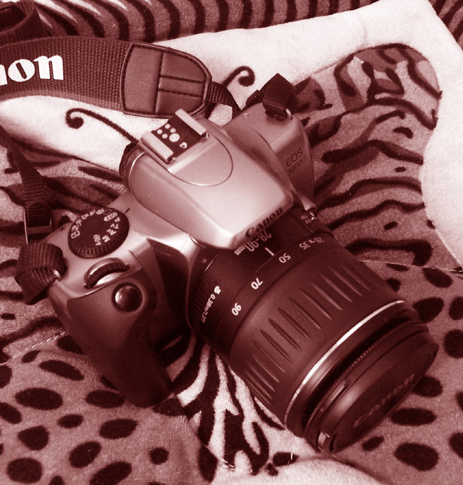 Canon
