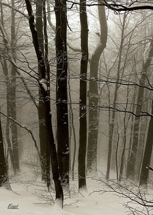 ...zimná nostalgia...