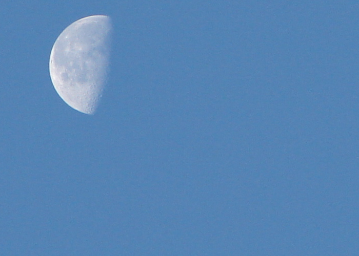 Moon in the blue