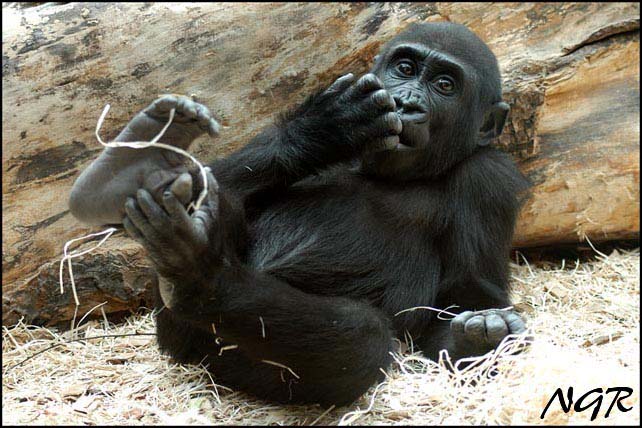 Moja_ZOO Praha