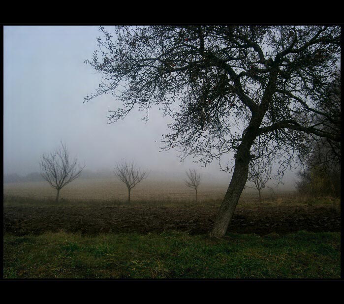 mlha stokrát jinak 015