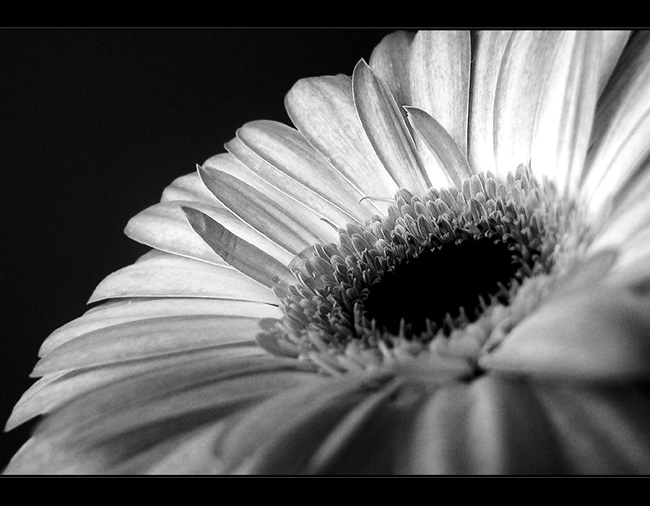 in black&white