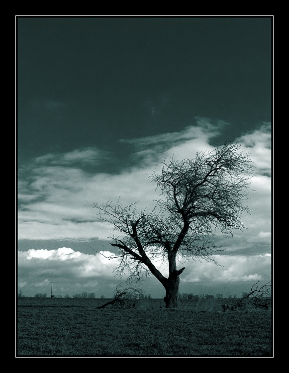 ---Sapless---