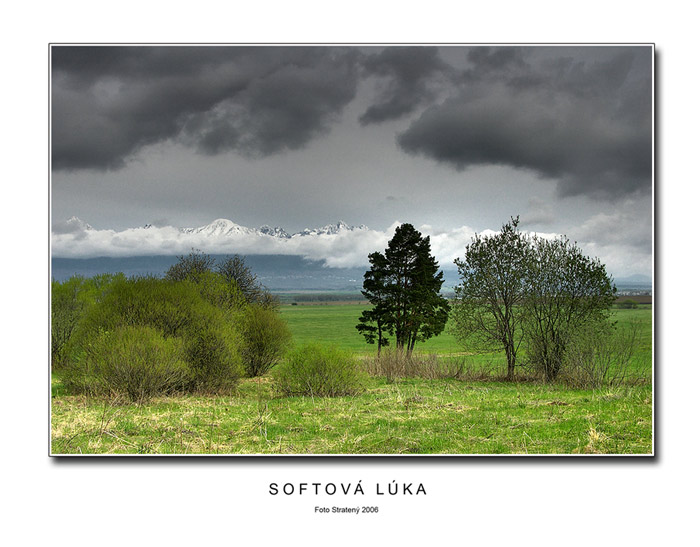 Softová lúka