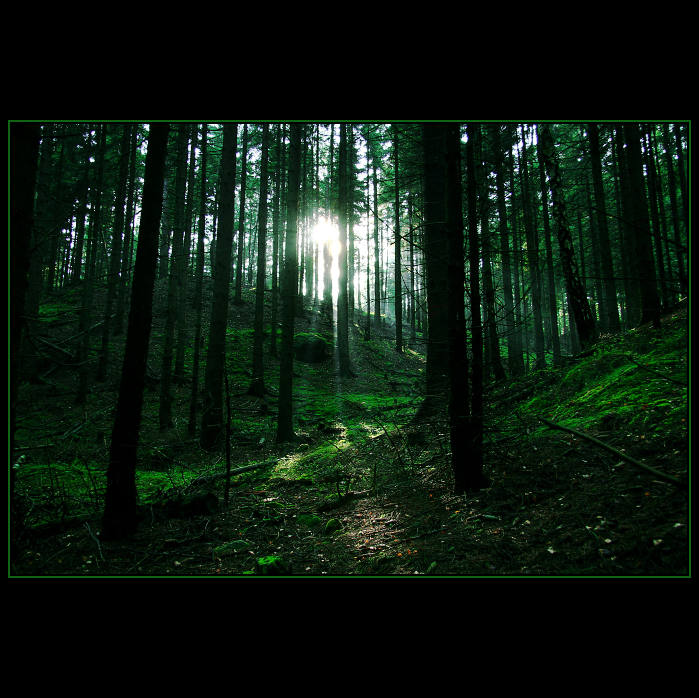 Coming the light