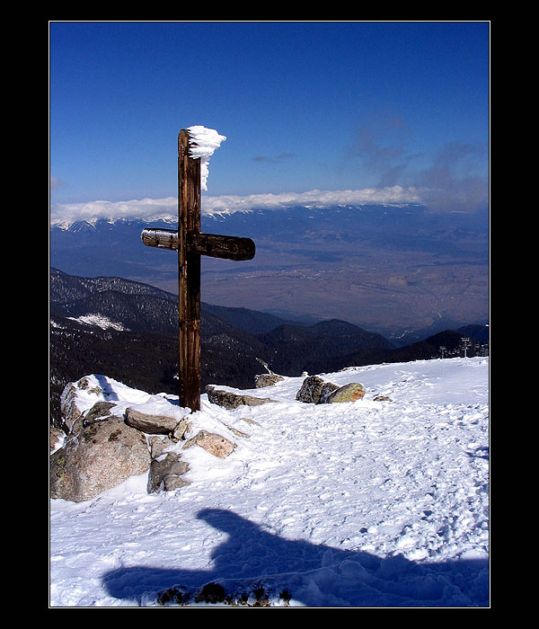 Cross