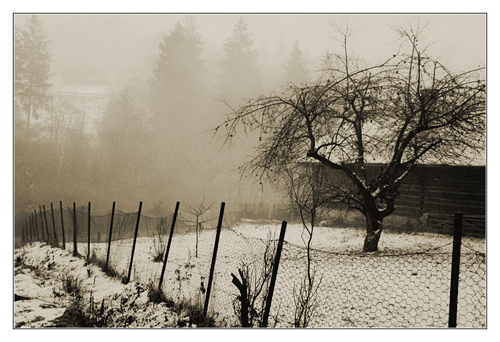 zima v ciernom balogu (XY)