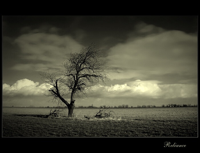 Reliance
