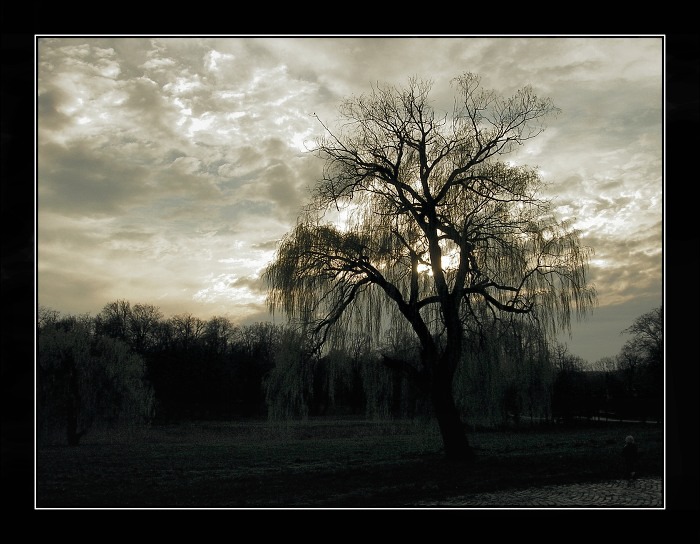 *** To unfold ***