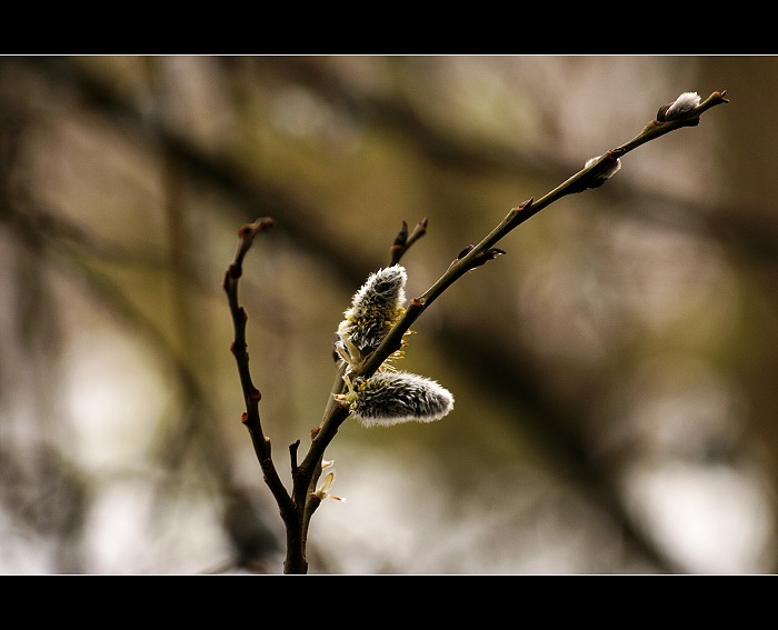 ...ještě je mi zima...