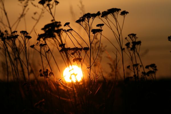 Before the sunset..