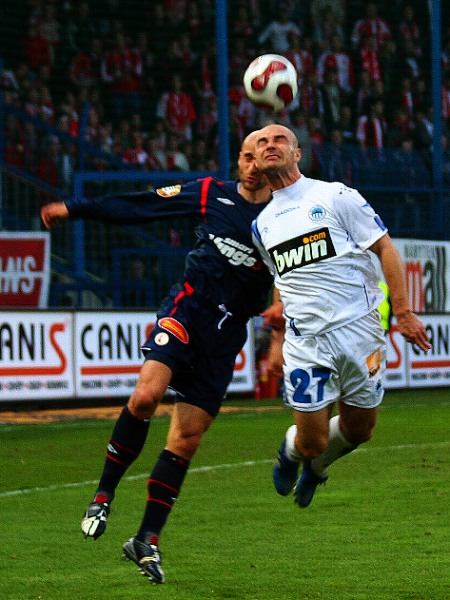 hlava