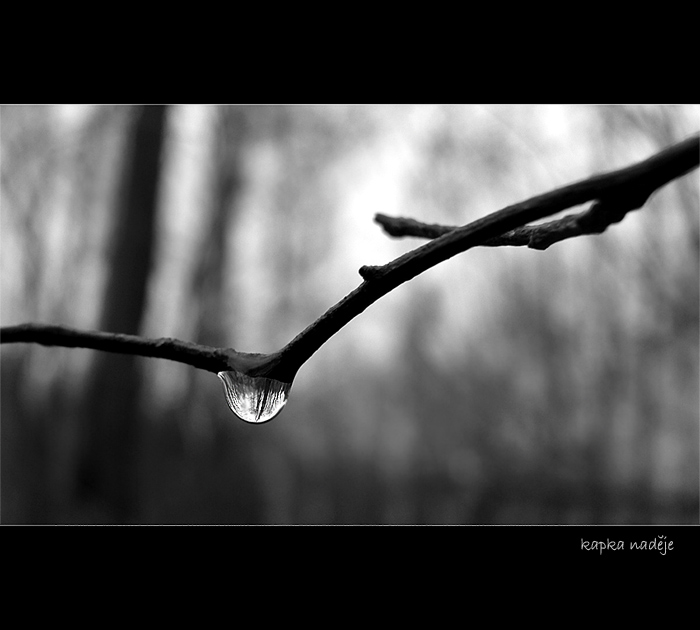 kapka naděje