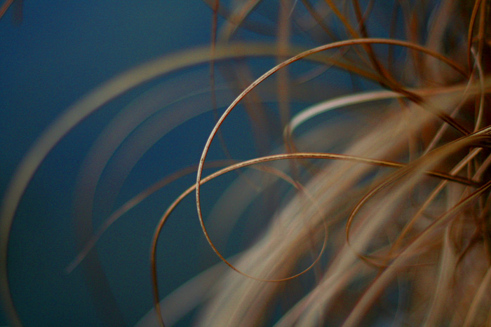 .: ruminate :.
