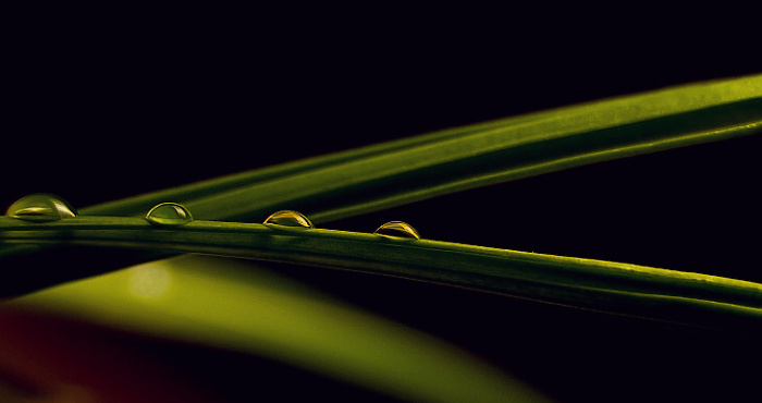 Tear drops...